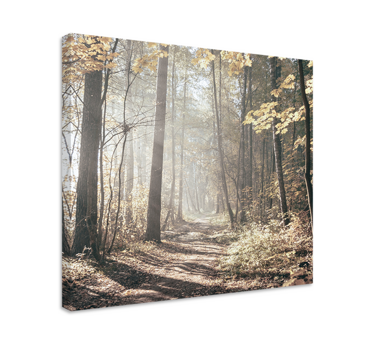 Cuadro paisajes camino cubierto de niebla - TenVinilo
