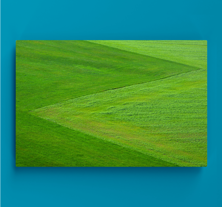 Cuadro paisajes Hierba verde con textura - TenVinilo