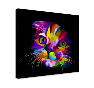 Cuadro gato Gato arcoiris pintado - TenVinilo