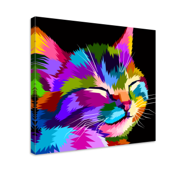 Cuadro gato Gato arcoiris - TenVinilo