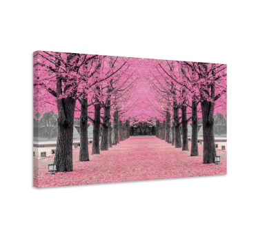 Cuadro pasillo Bosque de arboles rosados - TenVinilo