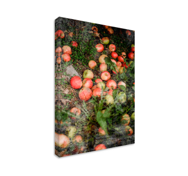 Cuadro de bodegones Manzanas caídas con verduras - TenVinilo