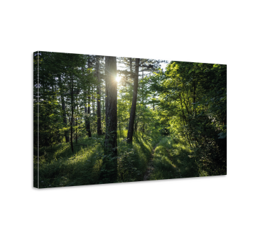 Cuadro de árboles Arboles y bosque verde - TenVinilo