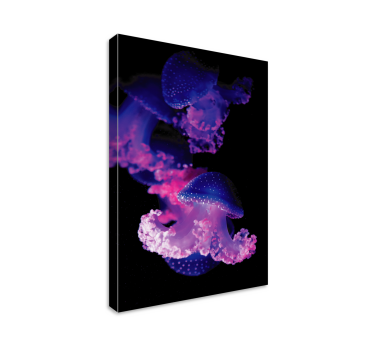 Cuadro decorativo moderno Medusa morada - TenVinilo