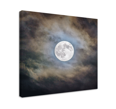 Cuadro de paisaje Noche de luna llena - TenVinilo