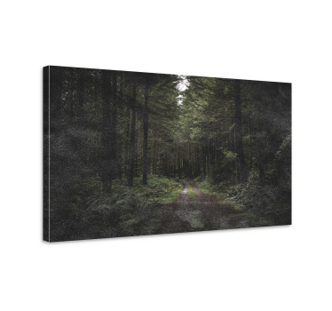 Cuadro de paisaje Caminando por un bosque oscuro - TenVinilo