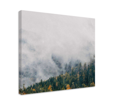 Cuadro de paisaje Bosque con niebla desde arriba - TenVinilo