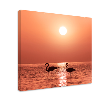 Cuadro aves flamencos al atardecer - TenVinilo