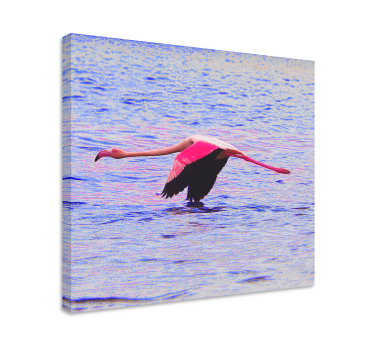 Cuadro de peces flamenco en vuelo - TenVinilo