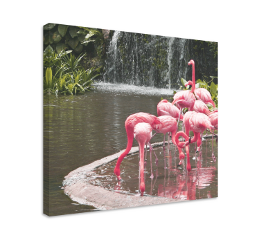 Cuadro cocina Bonito paisaje flamencos rosados - TenVinilo