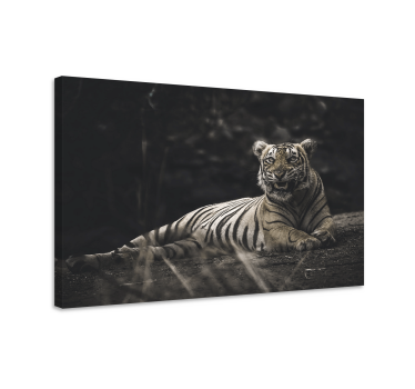 Cuadro de animales Tigre acostado - TenVinilo