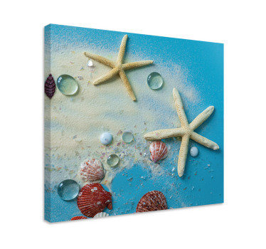 Cuadro en 3d Estrella de mar en arena colorida - TenVinilo