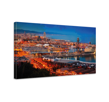 Cuadro ciudades barcelona vista de la ciudad - TenVinilo