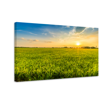 Cuadro paisajes puesta de sol sobre los campos - TenVinilo