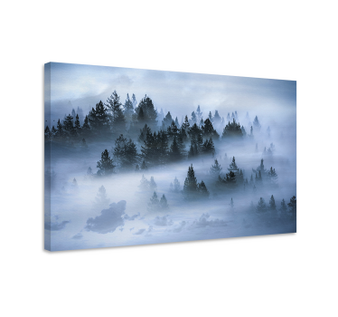 Cuadro paisajes bosque de pinos nebuloso - TenVinilo