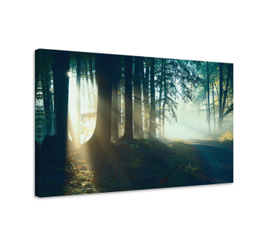 Cuadro de paisaje Hermoso bosque de invierno moderno - TenVinilo