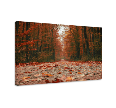 Cuadro paisajes sendero de otoño - TenVinilo
