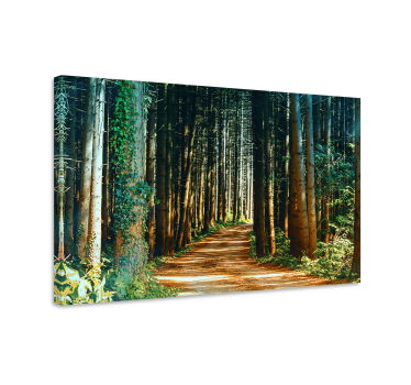 Cuadro paisajes sendero en el bosque - TenVinilo