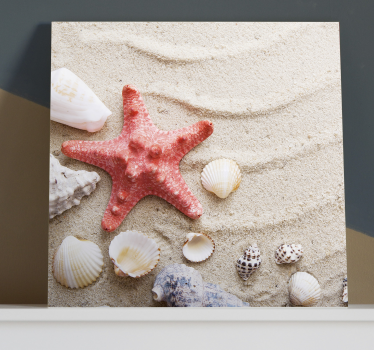 Cuadro animales estrellas y conchas en arena - TenVinilo