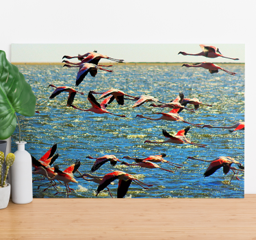 Cuadro aves flamencos en vuelo - TenVinilo