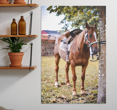 Cuadro caballos caballo marrón elegante - TenVinilo