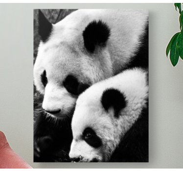 Cuadro de animales Madre y bebé panda - TenVinilo