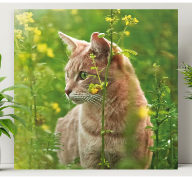 Cuadro de gatos paseando un gato curioso - TenVinilo