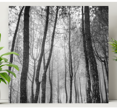 Cuadro de paisaje Bosque neblinoso desde arriba - TenVinilo