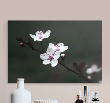 Cuadro flores Elegante flor de cerezo femenina - TenVinilo