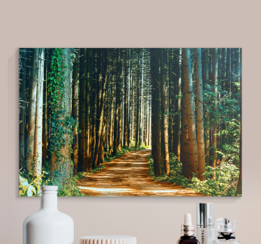 Cuadro paisajes sendero en el bosque - TenVinilo