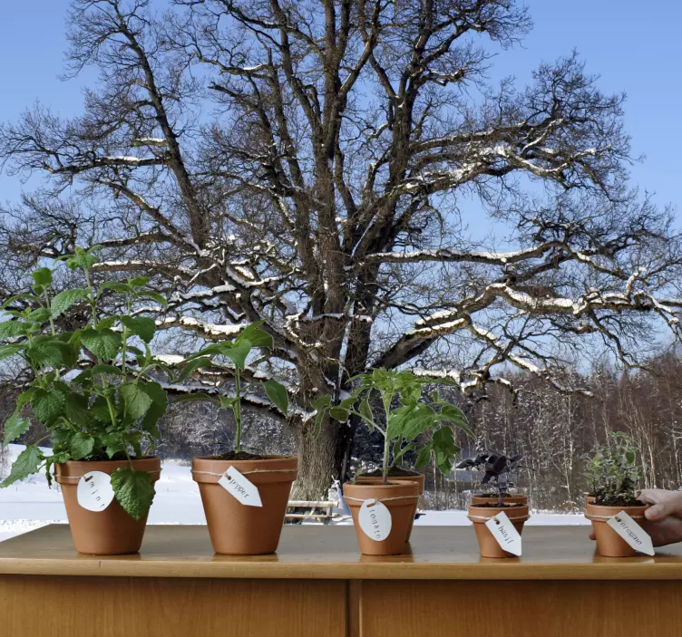 Vinilo árbol nevado - TenVinilo