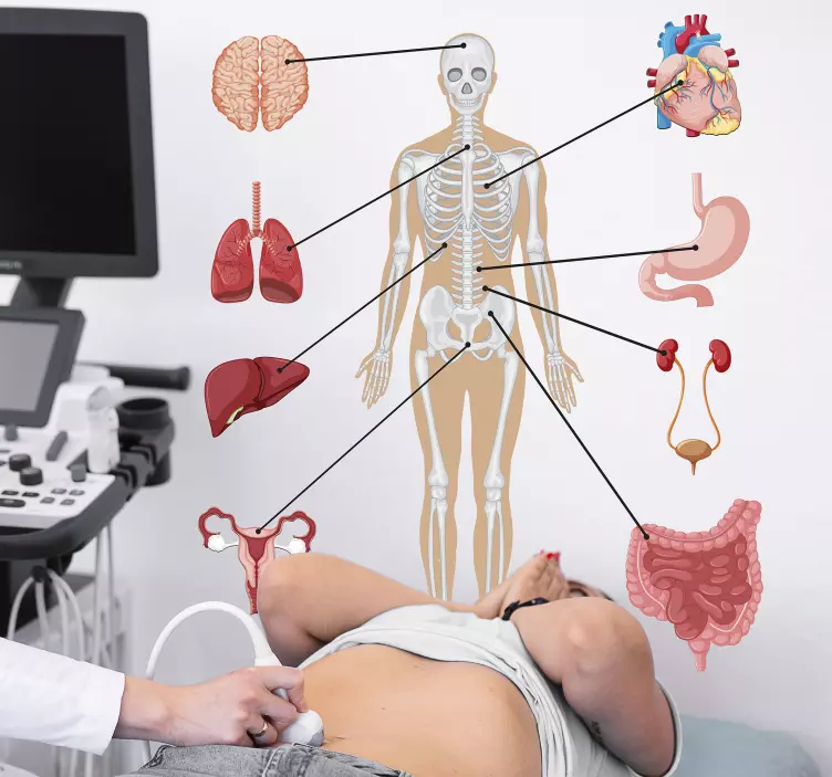 Vinilo para negocio infografía médica - TenVinilo