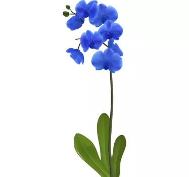Vinilo de flores orquídea color azul - TenVinilo