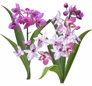 Vinilo de flores orquídea y pétalos - TenVinilo
