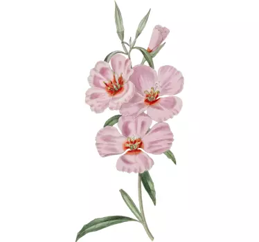 Vinilo de flores orquídea rosa enmarcadas - TenVinilo