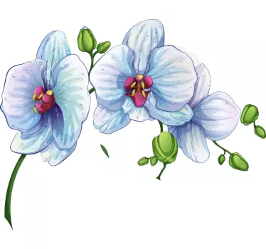 Vinilo de flores conjunto de orquídeas blancas - TenVinilo