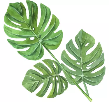 Vinilo de planta hojas de acuarela monstera - TenVinilo