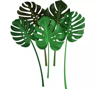Vinilo de plantas conjunto hojas monstera - TenVinilo
