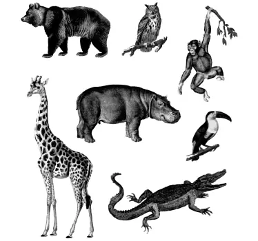Vinilo bebé animales salvajes blanco y negro - TenVinilo