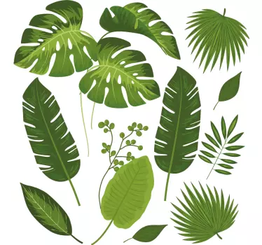 Vinilo de planta Variedad de hojas - TenVinilo