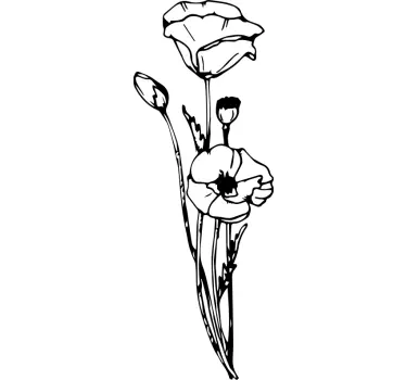 Vinilo de flor Ilustración de flores de amapola - TenVinilo