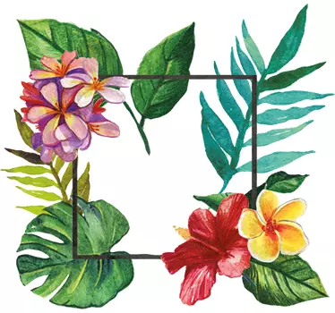 Vinilo decorativo marco tropical - TenVinilo
