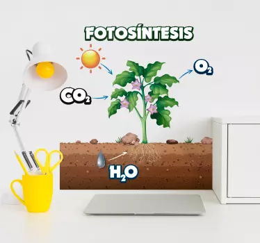 Vinilo para habitación infantil planta de fotosíntesis - TenVinilo