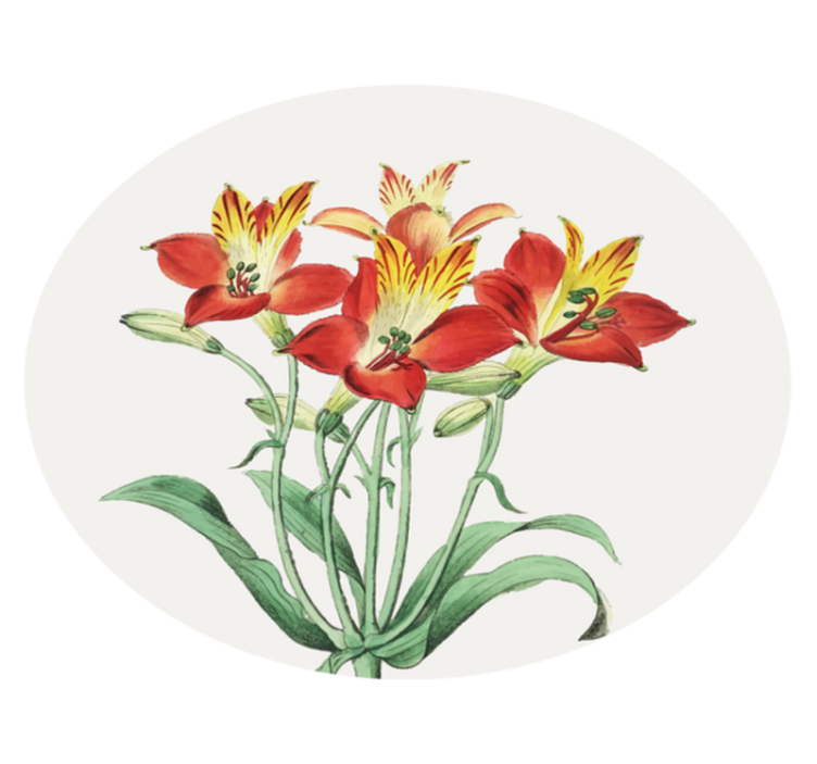 Alfombra vinílica flores rosas intensas y vibrantes - TenVinilo