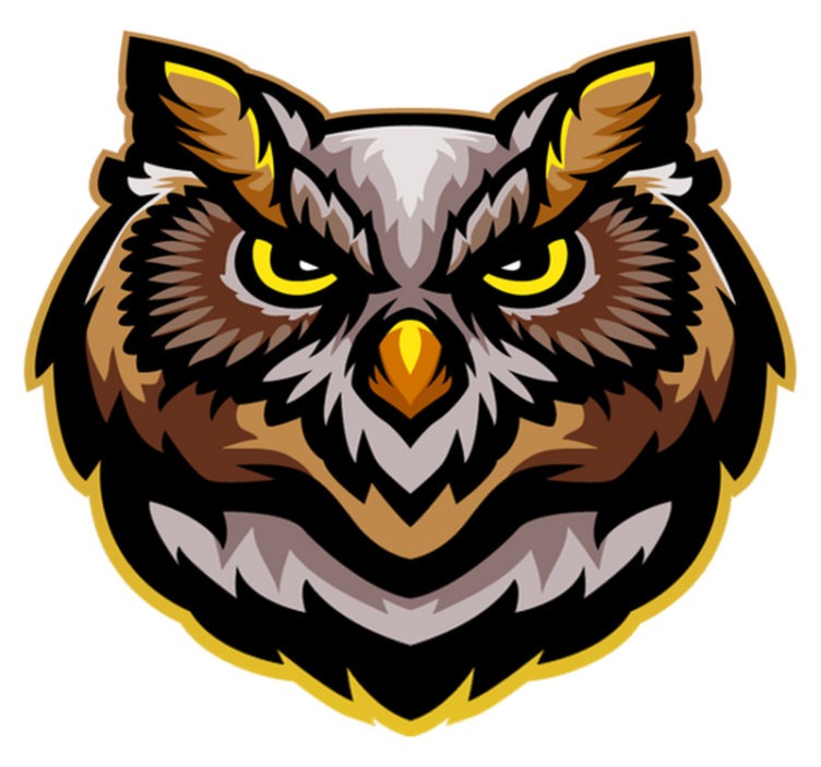 Aflombra vinílica animales arte de cara de búho - TenVinilo