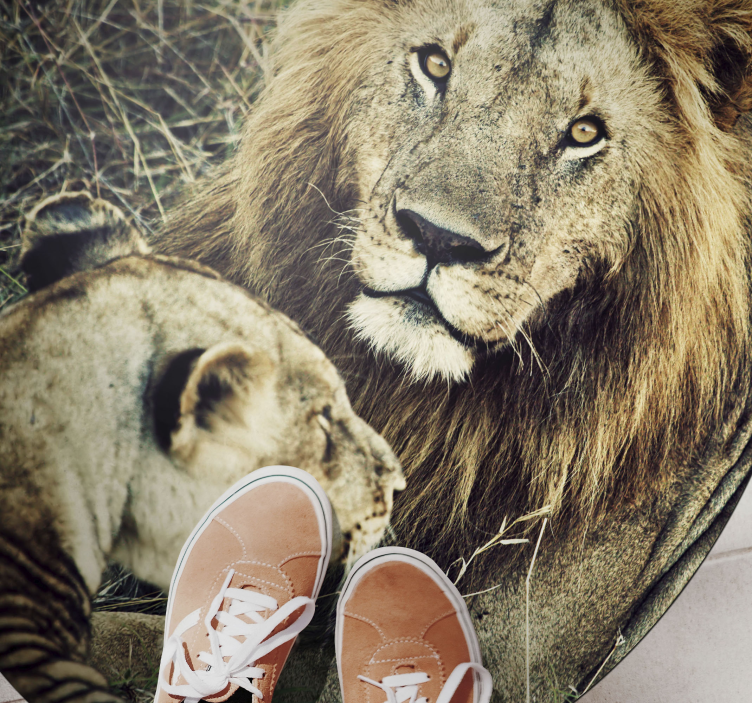 Aflombra vinílica animales majestuosa pareja de leones - TenVinilo
