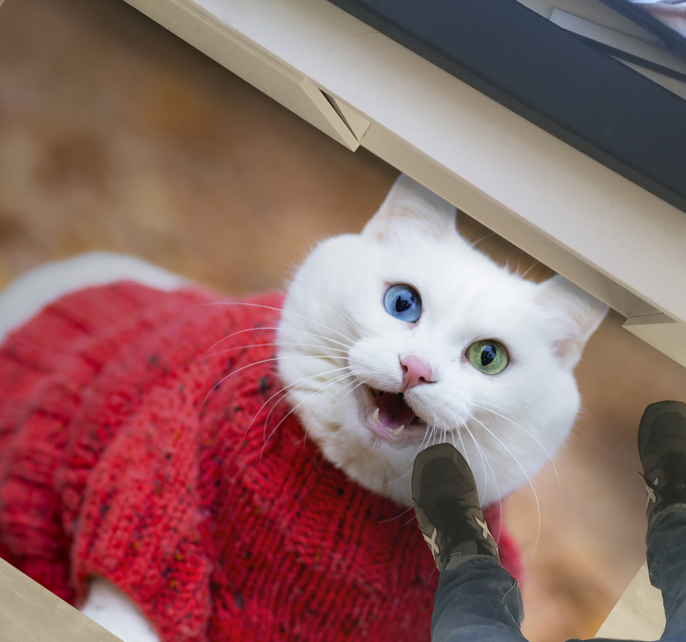 Aflombra vinílica animales Animal lindo gato sonriente - TenVinilo