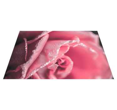 Alfombra de vinilo de rosa para comedor - TenVinilo