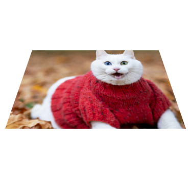 Alfombras vinílicas de animales Animal lindo gato sonriente - TenVinilo