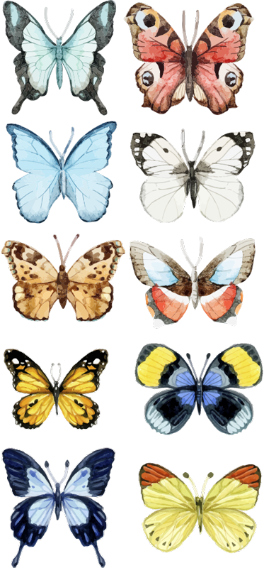Aflombra vinílica animales diez mariposas de colores - TenVinilo